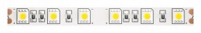 Лента светодиодная Maytoni Led strip 10170 в Тюмени - tumen.ok-mebel.com | фото