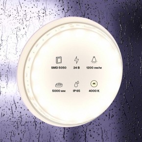 Лента светодиодная Maytoni Led strip 10172 в Тюмени - tumen.ok-mebel.com | фото 2