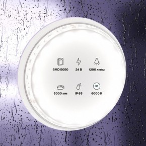 Лента светодиодная Maytoni Led strip 10173 в Тюмени - tumen.ok-mebel.com | фото 2