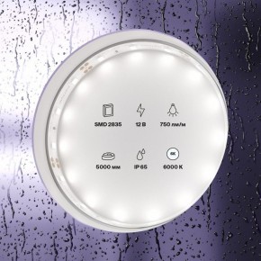 Лента светодиодная Maytoni Led strip 20006 в Тюмени - tumen.ok-mebel.com | фото 2