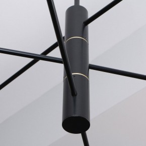 Люстра на штанге Favourite Imma 4375-6P в Тюмени - tumen.ok-mebel.com | фото 2