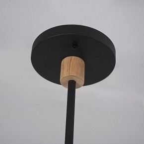 Люстра на штанге Imperiumloft TURNA Black TURNA-DBL01 в Тюмени - tumen.ok-mebel.com | фото 9