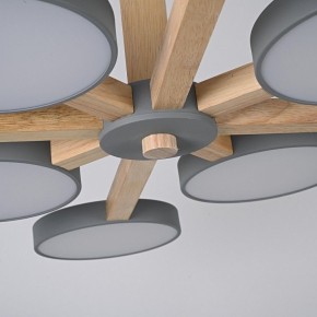 Люстра на штанге Imperiumloft TURNA Gray TURNA-B01 в Тюмени - tumen.ok-mebel.com | фото 7