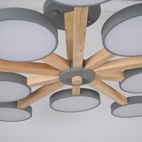 Люстра на штанге Imperiumloft TURNA Gray TURNA-B01 в Тюмени - tumen.ok-mebel.com | фото 10