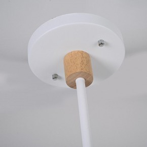 Люстра на штанге Imperiumloft TURNA White TURNA-DBL01 в Тюмени - tumen.ok-mebel.com | фото 7