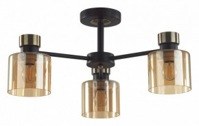 Люстра на штанге Lumion ARLIN 5643/3C в Тюмени - tumen.ok-mebel.com | фото