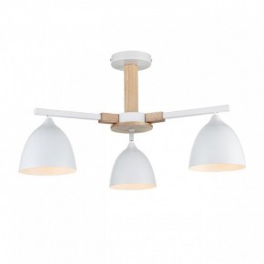 Люстра на штанге Lumion Colange 8095/3C в Тюмени - tumen.ok-mebel.com | фото 2
