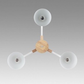 Люстра на штанге Lumion Colange 8095/3C в Тюмени - tumen.ok-mebel.com | фото 3