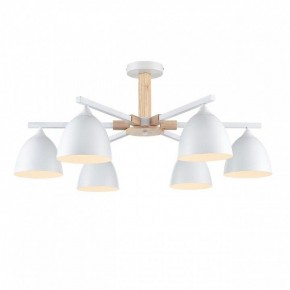 Люстра на штанге Lumion Colange 8095/6C в Тюмени - tumen.ok-mebel.com | фото 2