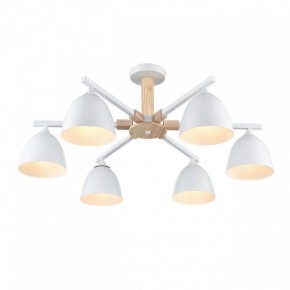 Люстра на штанге Lumion Colange 8095/6C в Тюмени - tumen.ok-mebel.com | фото 3