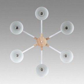 Люстра на штанге Lumion Colange 8095/6C в Тюмени - tumen.ok-mebel.com | фото 4