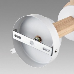 Люстра на штанге Lumion Colange 8095/6C в Тюмени - tumen.ok-mebel.com | фото 6