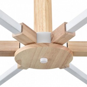 Люстра на штанге Lumion Colange 8095/6C в Тюмени - tumen.ok-mebel.com | фото 7