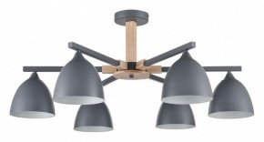 Люстра на штанге Lumion Colange 8096/6C в Тюмени - tumen.ok-mebel.com | фото