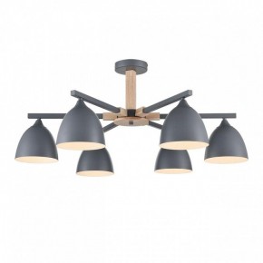 Люстра на штанге Lumion Colange 8096/6C в Тюмени - tumen.ok-mebel.com | фото 2