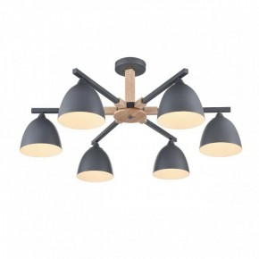 Люстра на штанге Lumion Colange 8096/6C в Тюмени - tumen.ok-mebel.com | фото 3
