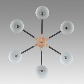 Люстра на штанге Lumion Colange 8096/6C в Тюмени - tumen.ok-mebel.com | фото 4