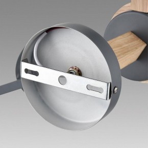 Люстра на штанге Lumion Colange 8096/6C в Тюмени - tumen.ok-mebel.com | фото 6