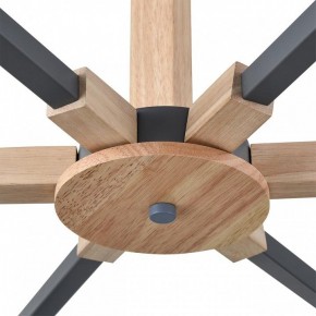 Люстра на штанге Lumion Colange 8096/6C в Тюмени - tumen.ok-mebel.com | фото 7