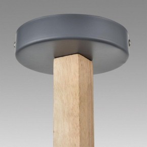 Люстра на штанге Lumion Colange 8096/6C в Тюмени - tumen.ok-mebel.com | фото 9