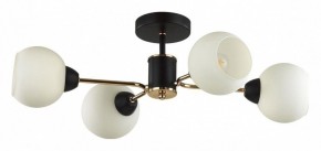 Люстра на штанге Lumion KODI 5646/4C в Тюмени - tumen.ok-mebel.com | фото