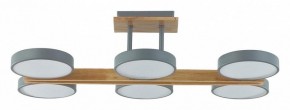 Люстра на штанге Lumion Plato 8031/108CL в Тюмени - tumen.ok-mebel.com | фото