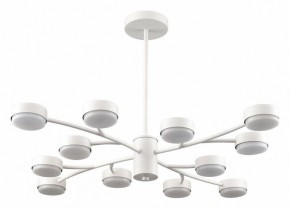 Люстра на штанге Lumion TORINA 8265/12 в Тюмени - tumen.ok-mebel.com | фото