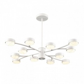 Люстра на штанге Lumion TORINA 8265/12 в Тюмени - tumen.ok-mebel.com | фото 2