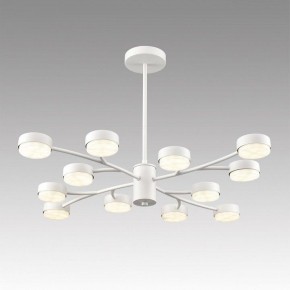 Люстра на штанге Lumion TORINA 8265/12 в Тюмени - tumen.ok-mebel.com | фото 3