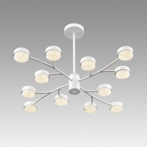 Люстра на штанге Lumion TORINA 8265/12 в Тюмени - tumen.ok-mebel.com | фото 5