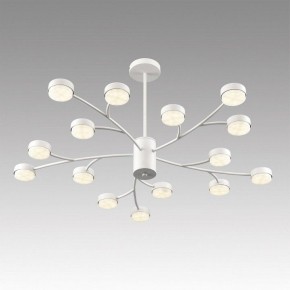 Люстра на штанге Lumion TORINA 8265/15 в Тюмени - tumen.ok-mebel.com | фото 5