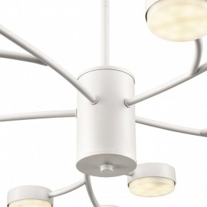 Люстра на штанге Lumion TORINA 8265/15 в Тюмени - tumen.ok-mebel.com | фото 8