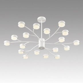 Люстра на штанге Lumion TORINA 8265/18 в Тюмени - tumen.ok-mebel.com | фото 5