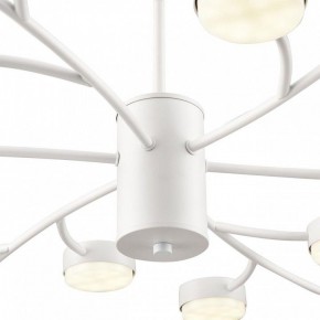 Люстра на штанге Lumion TORINA 8265/18 в Тюмени - tumen.ok-mebel.com | фото 8