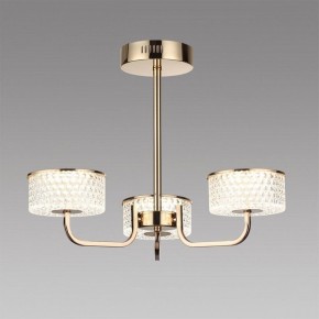 Люстра на штанге Lumion Venice 6579/40CL в Тюмени - tumen.ok-mebel.com | фото 2