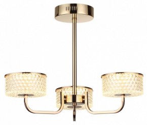 Люстра на штанге Lumion Venice 6579/40CL в Тюмени - tumen.ok-mebel.com | фото 5