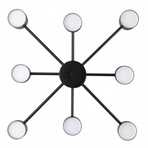 Люстра на штанге Lumion Virsava 8234/8C в Тюмени - tumen.ok-mebel.com | фото 3