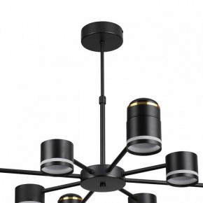 Люстра на штанге Lumion Virsava 8234/8C в Тюмени - tumen.ok-mebel.com | фото 5