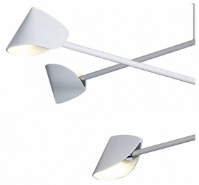Люстра на штанге Mantra Capuccina 7570 в Тюмени - tumen.ok-mebel.com | фото 4