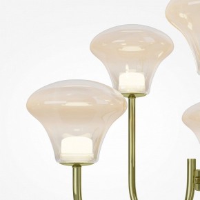 Люстра на штанге Maytoni Dynasty MOD402PL-L30BS3K в Тюмени - tumen.ok-mebel.com | фото 6