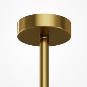 Люстра на штанге Maytoni Museo MOD436PL-07BS в Тюмени - tumen.ok-mebel.com | фото 5