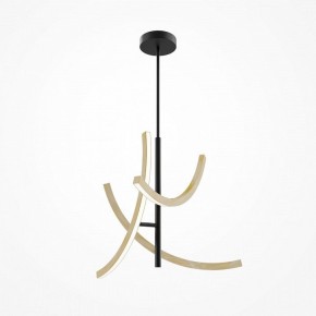 Люстра на штанге Maytoni Wabi MOD428PL-L27BK в Тюмени - tumen.ok-mebel.com | фото 5