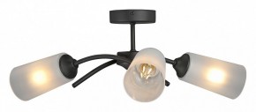 Люстра на штанге Vitaluce V2850 V2850-1/3PL в Тюмени - tumen.ok-mebel.com | фото