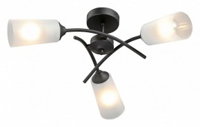 Люстра на штанге Vitaluce V2850 V2850-1/3PL в Тюмени - tumen.ok-mebel.com | фото 2