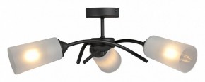 Люстра на штанге Vitaluce V2850 V2850-1/3PL в Тюмени - tumen.ok-mebel.com | фото 3