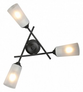 Люстра на штанге Vitaluce V2850 V2850-1/3PL в Тюмени - tumen.ok-mebel.com | фото 4