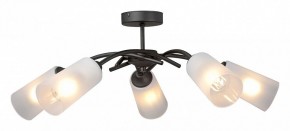 Люстра на штанге Vitaluce V2850 V2850-1/5PL в Тюмени - tumen.ok-mebel.com | фото