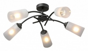 Люстра на штанге Vitaluce V2850 V2850-1/5PL в Тюмени - tumen.ok-mebel.com | фото 2