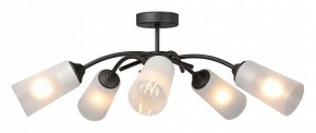 Люстра на штанге Vitaluce V2850 V2850-1/5PL в Тюмени - tumen.ok-mebel.com | фото 3