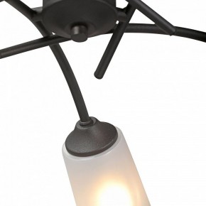 Люстра на штанге Vitaluce V2850 V2850-1/5PL в Тюмени - tumen.ok-mebel.com | фото 6